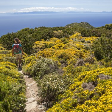 Wandern am Kap von Sant'Andrea, Insel Elba