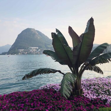 Lugano