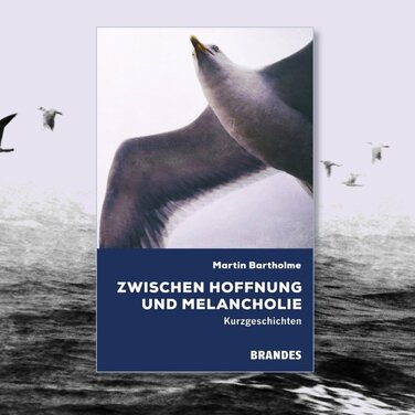 Buchcover "Zwischen Hoffnung und Melancholie" von Martin Bartholme mit fliegenden Möwen im Hintergrund