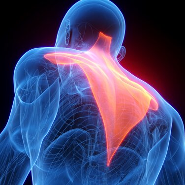 SciRhom startet erste klinische Studie