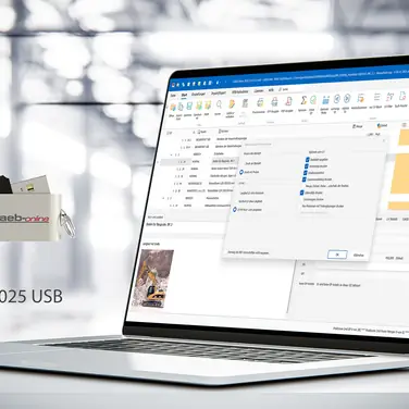 Effiziente und mobile Angebotsbearbeitung mit GAEB-Online 2025 USB