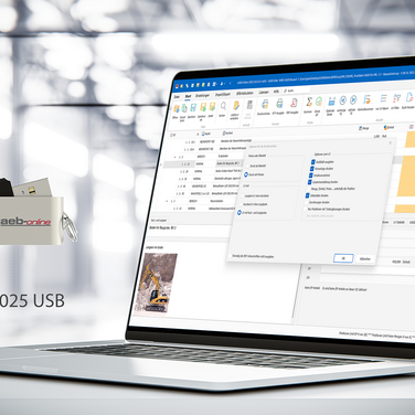 Effiziente und mobile Angebotsbearbeitung mit GAEB-Online 2025 USB