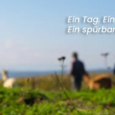 Alpakawanderung - ein Tag, ein Team, ein spürbarer Unterschied