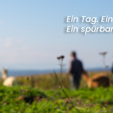 Alpakawanderung - ein Tag, ein Team, ein spürbarer Unterschied