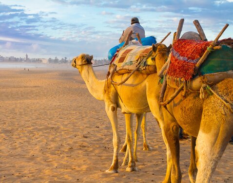 ECCO-Reisen: Neue Marokko Rundreise „Königstädte“ ist ohne Mindestteilnehmerzahl buchbar