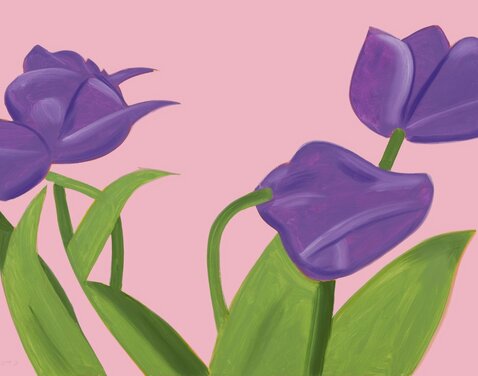 Alex Katz Flowers Portfolio Purple Tulips