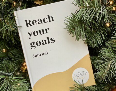 Neues Journal Reach your goals von Sabine Peavy