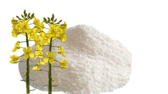 BEWI-Spray RS 70 ermöglicht den Einsatz von pansenstabilen Fettpulvern in Qualitätsprogrammen