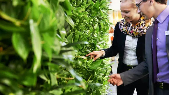 Lifestyle 2014, aber nachhaltig:&nbsp;hydroflora entwickelt vertikale Fensterbänke mit Wohlfühlfaktor