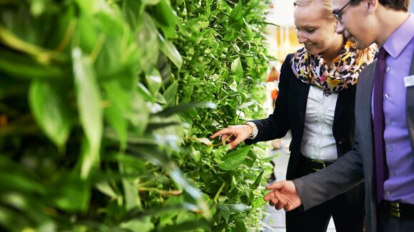 Lifestyle 2014, aber nachhaltig: hydroflora entwickelt vertikale Fensterbänke mit Wohlfühlfaktor