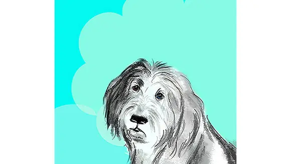 "Whoopy" - Ein Hund erzählt!