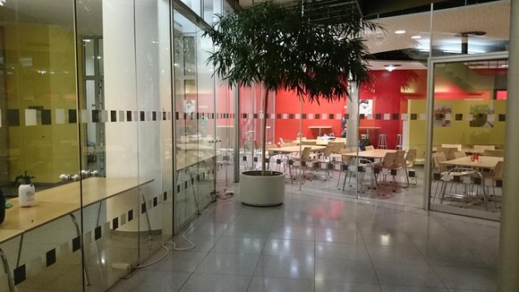 Bonner Start-Ups inclusion und Druckwelle kooperieren bei der barrierefreien Markierung von Glasflächen