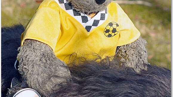 Moritz Sinasson: Teddybär schreibt zweites Kinderbuch