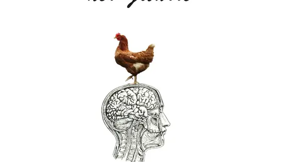 Buchvorstellung Clara, das Huhn mit der Gitarre oder die geheime Macht des Unbewussten