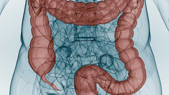 Gesunder Darm, gesundes Leben - Am 21.03. ist Darmkrebs-Präventionstag in den Düsseldorfer Schadow Arkaden