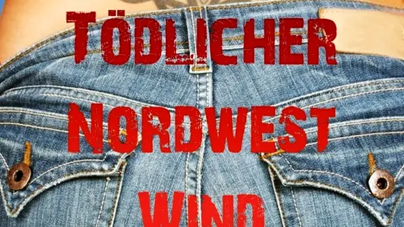 Lene Levi: Tödlicher Norwestwind / Kriminalroman