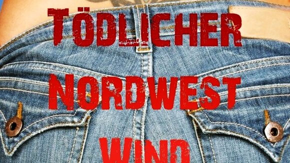 Lene Levi: Tödlicher Norwestwind / Kriminalroman