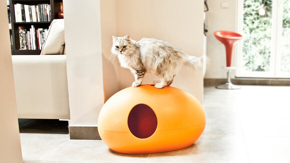 Stillvolles Wohnen mit Katzen-Designmöbeln