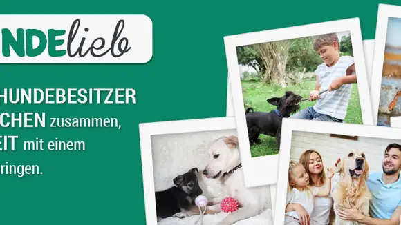 Hunde ausleihen und gleichzeitig Hundebesitzer entlasten