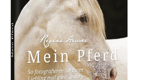 Franzis Tierfotografie - Mein Pferd - So fotografieren Sie Ihren Liebling mal ganz anders