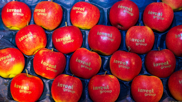 Windows 10 war nicht das einzige Highlight des 1. IT Vision Days