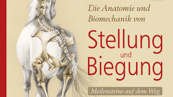 Neuerscheinung von Dr. Gerd Heuschmann: Meilensteine auf dem Weg zur korrekten Versammlung