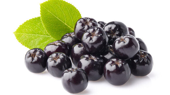 Aroniabeere - die Wunderbeere für ihre Gesundheit