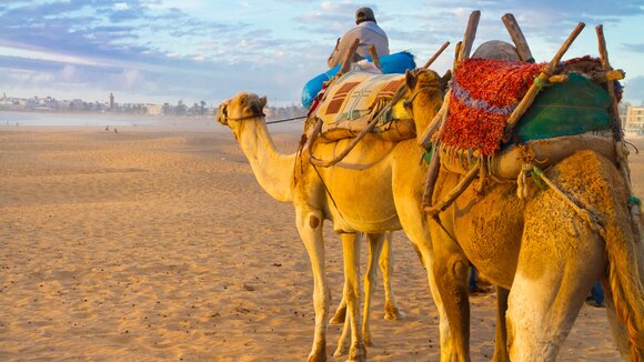 ECCO-Reisen: Neue Marokko Rundreise „Königstädte“ ist ohne Mindestteilnehmerzahl buchbar