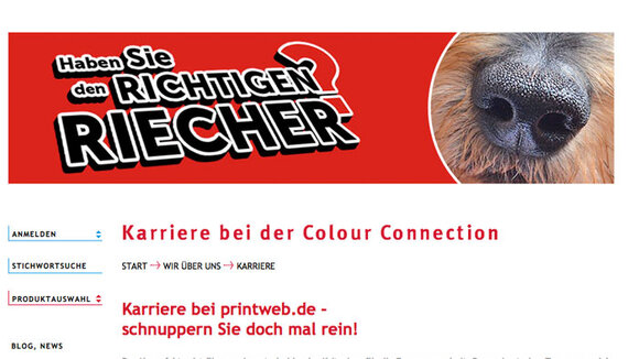 Mit dem richtigen Riecher auf Erfolgskurs bei Colour Connection