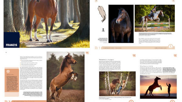 Faszination Pferdefotografie - Schönheit, Stärke, Anmut und Poesie im Bild