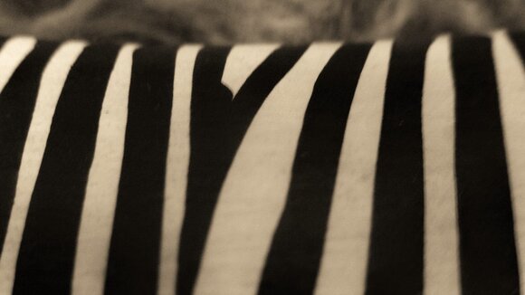 Pulzing Initiative in Berlin gegründet