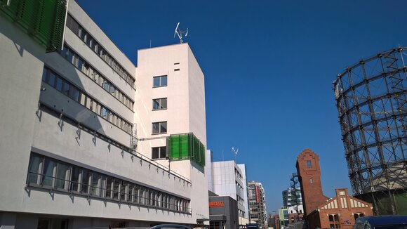 Algen entdecken und erleben