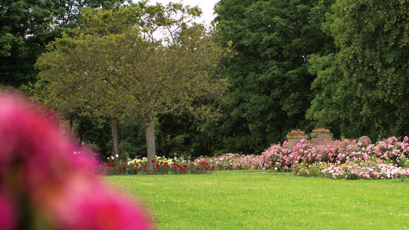Gräber werden teurer - Grabrechner stellt Transparenz her und ermöglicht erstmals Grabkauf im Internet