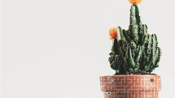 Berliner Start-Up Bowerbird GmbH entwickelt App für ersten fälschungssicheren QR-Code