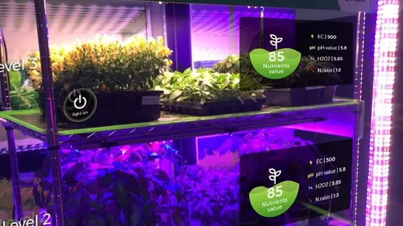 Eine Innovation, die vertical farming revolutionieren wird