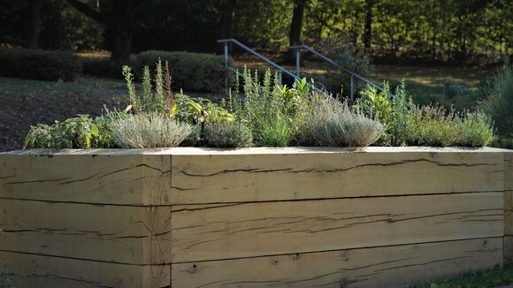 Neue Beisetzungsmöglichkeit Kräuterbeet - Veränderte Bestattungskultur sucht nach neuen Bestattungsformen