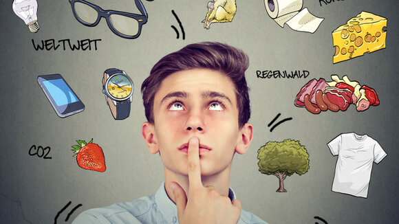 Regenwald im Einkaufswagen live in der Schule