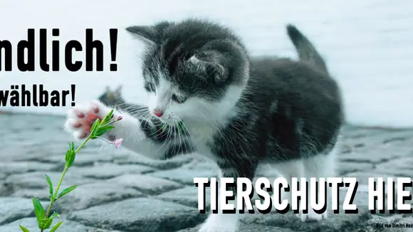 Tierschutz hier. Tierrechte jetzt wählbar.