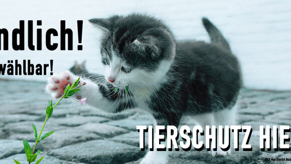 Tierschutz hier. Tierrechte jetzt wählbar.