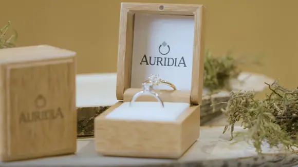 Crowdfunding Kampagne für konfliktfreie, synthetische Diamanten bei Kickstarter gestartet