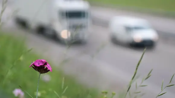Hin und her bei den Dieselfahrverboten - eine Chronik voreilig gezogener Schlussfolgerungen