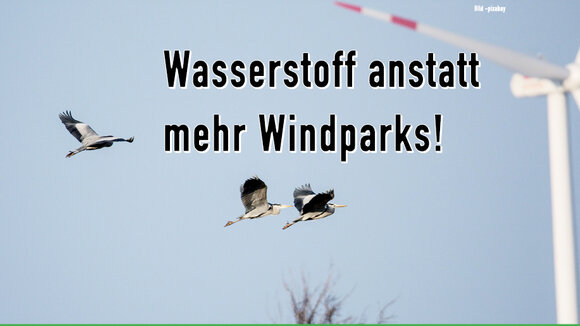 Wasserstoff anstatt mehr Windparks