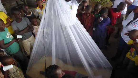 Wieder aktiv gegen Malaria