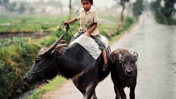 Eröffnung der Fotoausstellung "Geschichten aus China"
