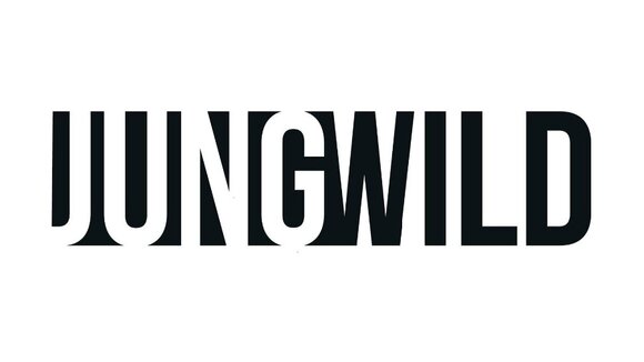 jungwild vereinfacht Karrierestart für junge Akademiker