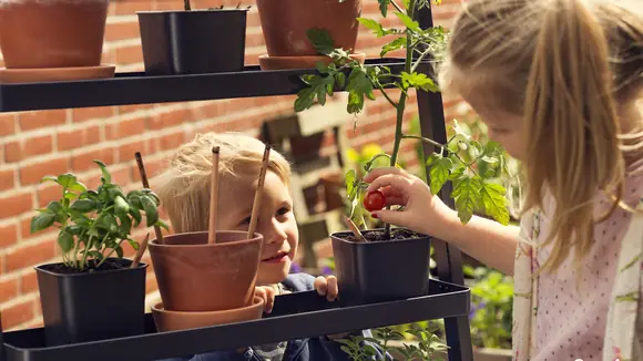 Plastikfreie Ferien: Sprout-Stifte, die zu einer Pflanze werden
