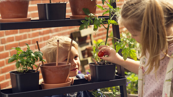 Plastikfreie Ferien: Sprout-Stifte, die zu einer Pflanze werden