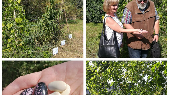 ENZEDRA-Projektpräsentation auf dem AmbrossGut Schönbrunn