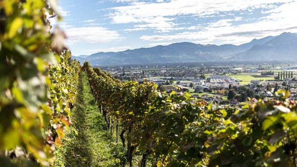 Genussregion St.Gallen-Bodensee: Von der fünften Jahreszeit, den vier B und weiteren Köstlichkeiten