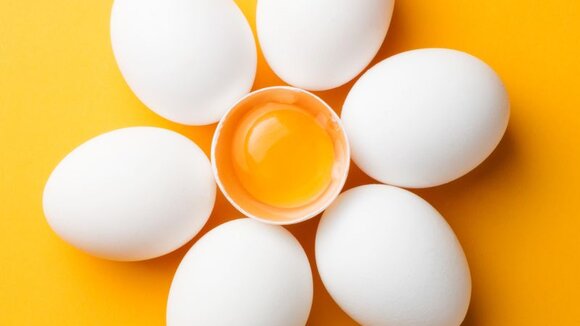 World Egg Day: SCRAEGG präsentiert das Kleine Ei(n)maleins